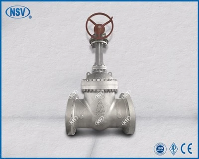 CF8M Sürgülü Vana