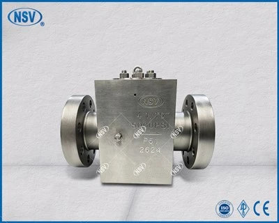 F51 – 5000PSI Çek Valf