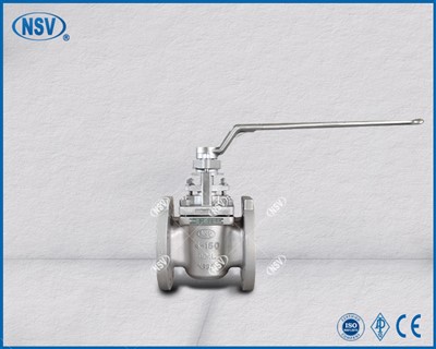 904L Çift Rakorlu Plug Vana